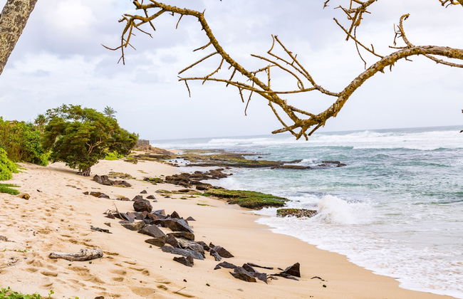 Mirissa Beach Villa - Photo 51