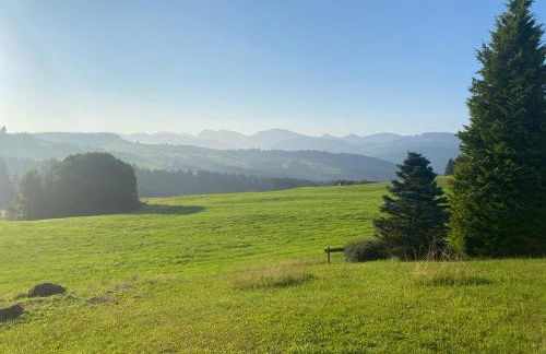 Neu - Ferienwohnung Allgäuparadies - Traumhafte Aussichten mitten in der Natur des Westallgäus - Foto 19