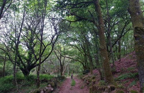 O Noso Lar - RIBEIRA SACRA - Foto 24