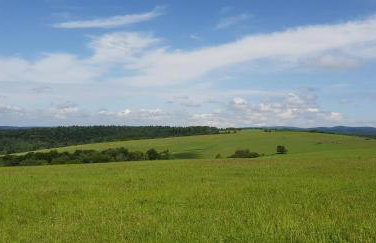 Przystanek Letnisko - Foto 20