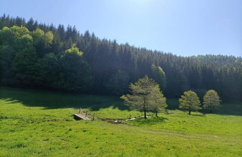 Fewo Lindenlaub - Foto 16