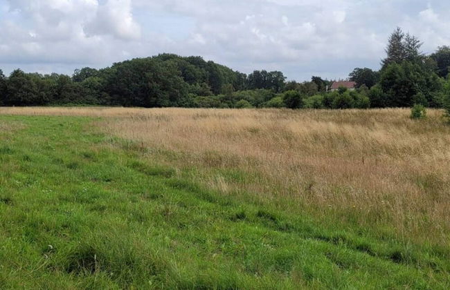 4 Person Holiday Home in Hovborg-by Traum - Foto 9