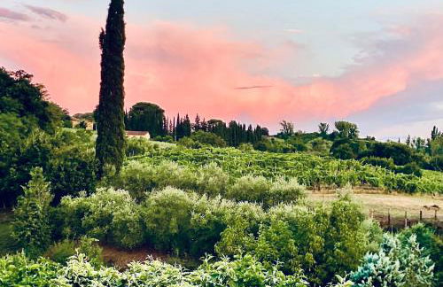 Il Sassello - Foto 16