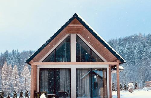 Galena i Gnejs - Foto 17