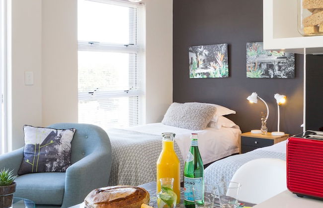 WINK Quiver Tree - Foto 48