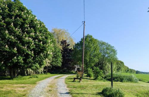 Lerchennest - Foto 20