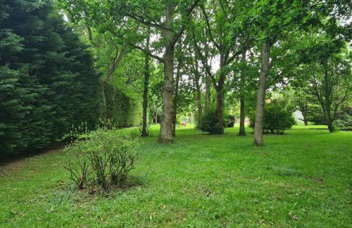 The Reading Chalet and gardens, suitable for contractors - Photo 17