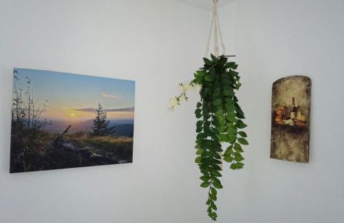 Ferienwohnung am Schloßbrunnen - Foto 12