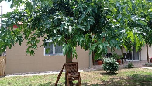 Village Nest - Foto 4