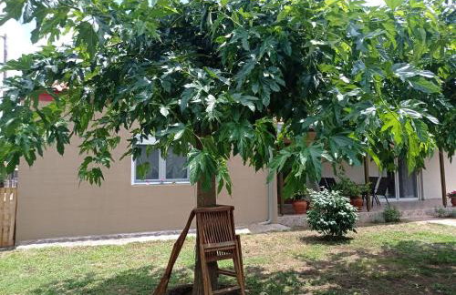 Village Nest - Foto 4