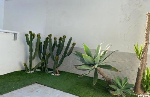 Corralejo Bristol terrace Apartment con giardino privato esterno - Photo 4