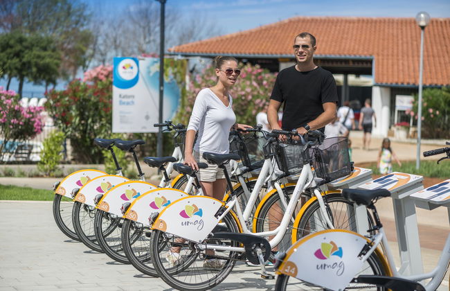 Apartments Katoro Plava Laguna - Foto 48