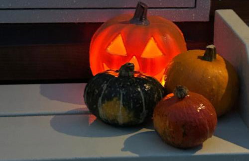 Cosy Devon Hut Woodland Views - Photo 64