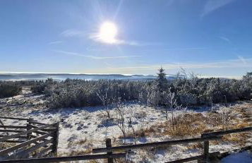 Ferienwohnung Naturpur - Foto 22