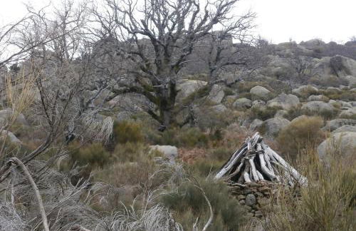 Casa Sebastiana - Foto 47