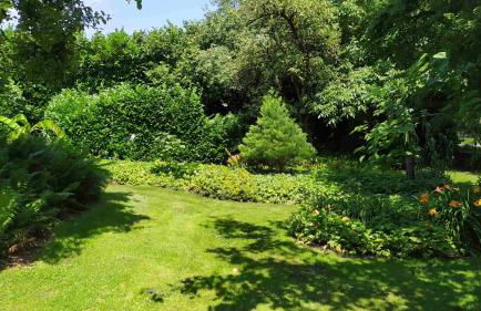 Ferienwohnung Exoten-Paradies im Garten Seggewiß - Tierfreie Nichtraucherwohnung in Raesfeld, Kreis Borken - Foto 26