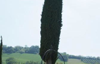 Collerovere Country House - Foto 35