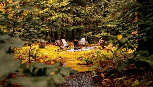 Green Mountain base camp for year-round adventure! - Foto 5