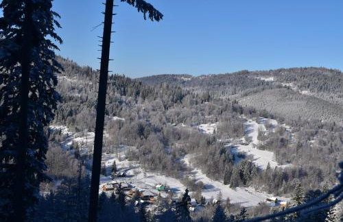 Górskie Siedlisko - 3 Chaty - Foto 65