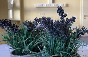 Einzimmerwohnung + Dusche und WC - Foto 7