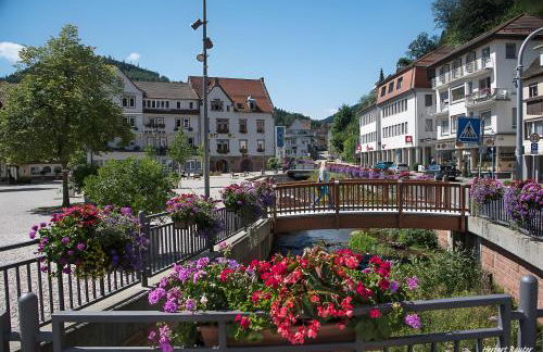 Amstadt's Birkenfels - Photo 18