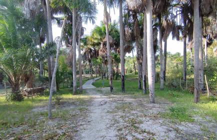 Sitio Santo Antonio - Photo 32