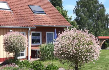 Ferienhaushälfte Lütow - Foto 10