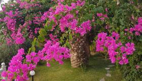 Ilaira Apartments - Foto 2