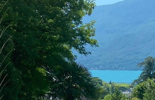 Au Cœur De La Riviera Des Alpes T2 - Foto 21