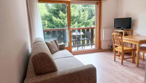 Au centre du village station de ski - Photo 3, Garden view