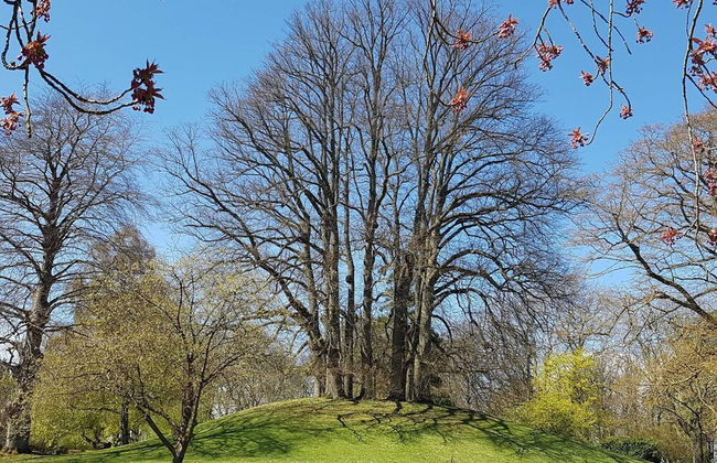 Charming Retreat on Eno - By Traum Ferienwohnungen - Foto 12