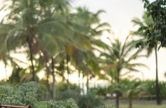 Espaço Tempo Vivências e Estadias - Photo 32