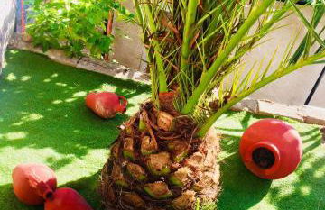 Heaven's house - Foto 36