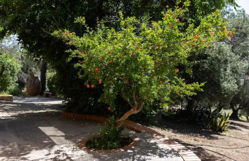 Finca Navalpino a 900 m de Puy du Fou - Foto 45