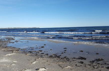 Ferienwohnung Finja in Putgarten, Kap Arkona Rügen - Foto 37