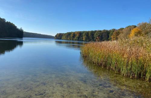 Sommerhaus am Trebuser See - Foto 24