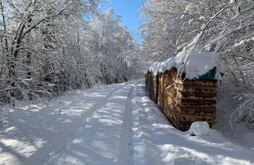 Bezauberndes Gästehaus im Grünen mit Terrasse - Foto 17