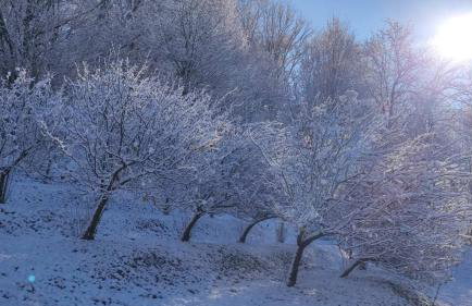 Kuća za odmor Trnac - Foto 34