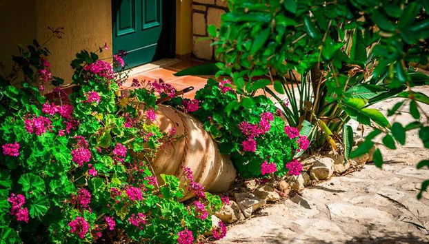 Dream Village - Foto 4