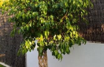 Casa Laura - Foto 20