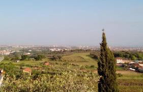 La Corte di Nonno - Foto 3