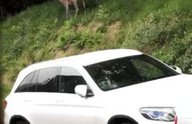 Amazing Alps and Loch views - HOT TUB and pet friendly - Foto 31