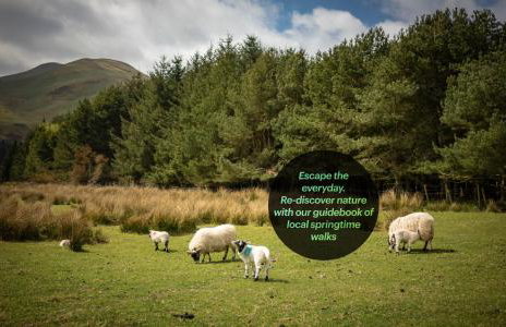 Edinburgh's Springtime Chalet - Foto 9