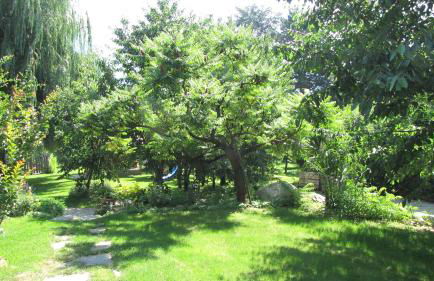 Ferienwohnungen Günzelgut - Photo 35