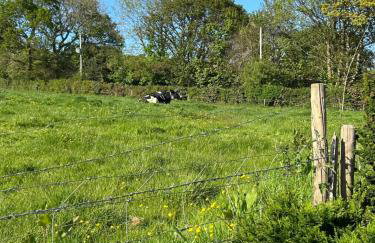 Trelowen Cottage - Photo 3