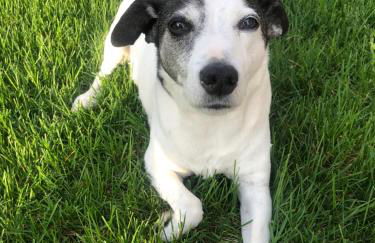 Relaxing Townhouse Downtown Dubuque - Foto 11