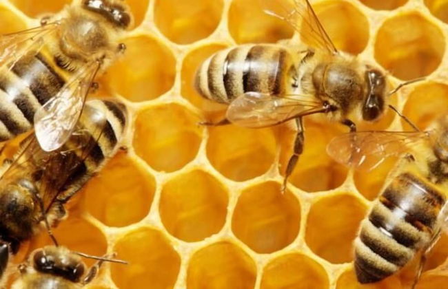 Agriturismo La Biandrina - Foto 27