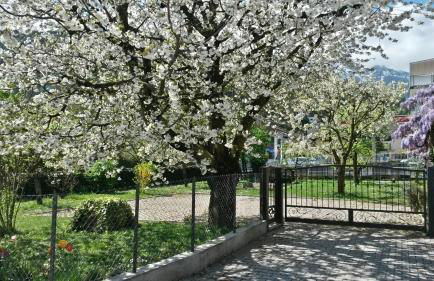 Casa Ferrari Monica - Foto 38