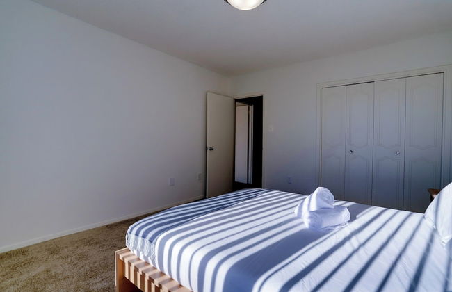 Spacious 2BR Apartment in Crystal City - Photo 10