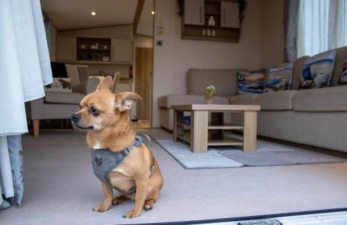 Eagle's Den Caravan Holiday Retreat - Foto 11